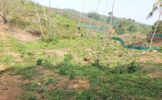 Residential Land for Sale in Trivandrum, Venjaramoodu, Venjaramoodu, Perumala, Chakkakattil