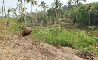 Residential Land for Sale in Trivandrum, Venjaramoodu, Venjaramoodu, Perumala, Chakkakattil