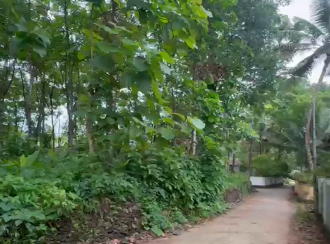 Residential House Villa for Sale in Kottayam, Pala, Thidanad, THIDANAD TEMPLE Jn.