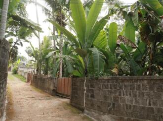 Residential Land for SaleTrivandrum, Balaramapuram, Balaramapuram
