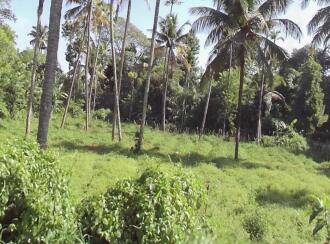 Residential Land for Sale in Thrissur, Thrissur, Puthenchira, Puthenchira, shanthinagar kappela