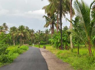 Residential Land for Sale in Thrissur, Koratty, Chirangara, Near Perumbi Sugathi Road, Perumbi