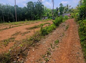 Residential Land for Sale in Kollam, Ayoor, Ayoor, Ambalamkunnu and pooyapally