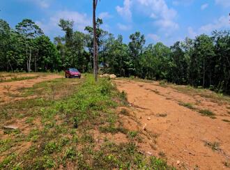 Residential Land for Sale in Kollam, Ayoor, Ayoor, Ambalamkunnu and pooyapally