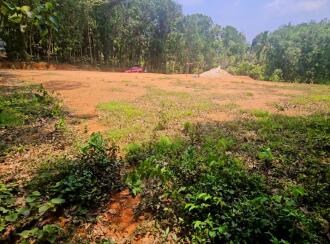 Residential Land for Sale in Kollam, Ayoor, Ayoor, Ambalamkunnu and pooyapally