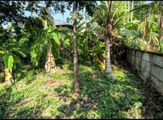 വാസയോഗ്യമായ ഭൂമി വില്പനയ്ക്ക് എറണാകുളം, Aluva, Alangad