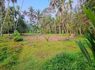 Residential Land for Sale in Kottayam, Vaikom, T v puram, t v puram
