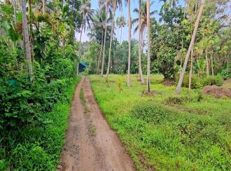 Residential Land for Sale in Kottayam, Vaikom, T v puram, t v puram