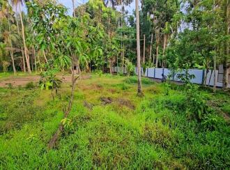 Residential Land for Sale in Kottayam, Vaikom, T v puram, t v puram