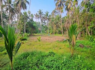 Residential Land for Sale in Kottayam, Vaikom, T v puram, t v puram