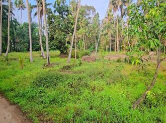 Residential Land for Sale in Kottayam, Vaikom, T v puram, t v puram