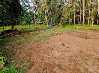 Residential Land for Sale in Kottayam, Vaikom, T v puram, t v puram