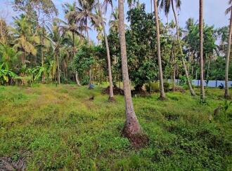 Residential Land for Sale in Kottayam, Vaikom, T v puram, t v puram