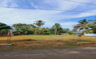 Residential Land for Sale in Alleppey, Cherthala, Cherthala town, Near KSRTC bus stand Munamkara