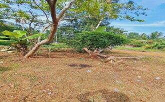 Residential Land for Sale in Alleppey, Cherthala, Cherthala town, Near KSRTC bus stand Munamkara