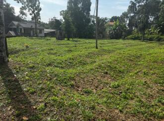 Residential Land for Sale in Pathanamthitta, Adoor, Adoor, Near Thrichethumangalam Mahadeva temple, Adoor