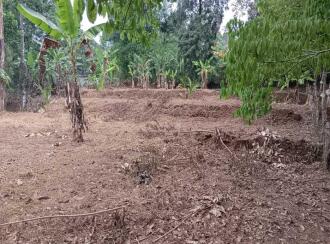 Residential Land for Sale in Pathanamthitta, Ranni, Mannamaruthy, mannamuruthy