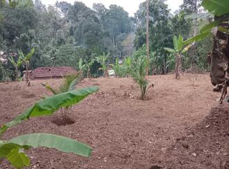 Residential Land for Sale in Pathanamthitta, Ranni, Mannamaruthy, mannamuruthy
