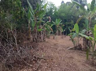 Residential Land for Sale in Pathanamthitta, Ranni, Mannamaruthy, mannamuruthy