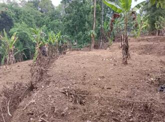 Residential Land for Sale in Pathanamthitta, Ranni, Mannamaruthy, mannamuruthy