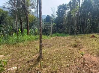 Residential Land for Sale in Wayanad, Meenangadi, Meenangadi, Jubilee Junction