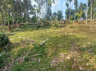 Residential Land for Sale in Wayanad, Meenangadi, Meenangadi, Jubilee Junction