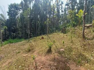 Residential Land for Sale in Wayanad, Meenangadi, Meenangadi, Jubilee Junction