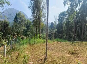 Residential Land for Sale in Wayanad, Meenangadi, Meenangadi, Jubilee Junction