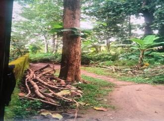 Residential Land for Sale in Kottayam, Kottayam town, Mariyappally, Muttam