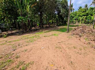 Commercial Land for Sale in Kollam, Parippally, Parippally Town, ESIC Medico College