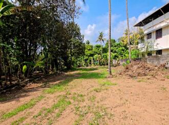 Commercial Land for Sale in Kollam, Parippally, Parippally Town, ESIC Medico College