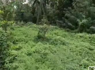 Residential Land for Sale in Ernakulam, Varappuzha, Varappuzha, Thundathumkadavu