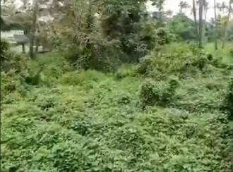 Residential Land for Sale in Ernakulam, Varappuzha, Varappuzha, Thundathumkadavu