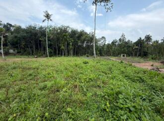 Residential Land for Sale in Alleppey, Chengannur, Kozhuvalloor