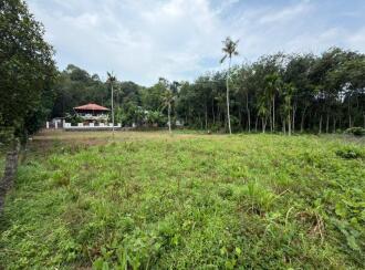 Residential Land for Sale in Alleppey, Chengannur, Kozhuvalloor