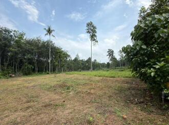Residential Land for Sale in Alleppey, Chengannur, Kozhuvalloor