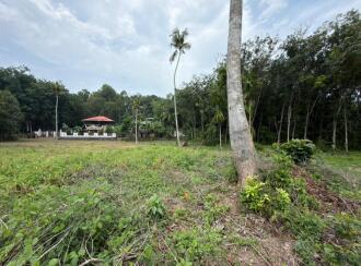Residential Land for Sale in Alleppey, Chengannur, Kozhuvalloor