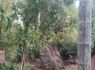 വാസയോഗ്യമായ വീട് വില്പനയ്ക്ക് Thrissur, Irinjalakuda, Kallettumkara