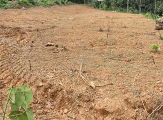 Residential Land for Sale in Pathanamthitta, Kulanada, Manthuka, Manthuka
