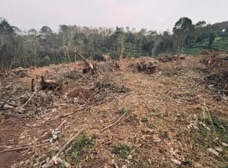 Residential Land for Sale in Kollam, Anchal, Pazhayeroor, Near Savithri auditorium