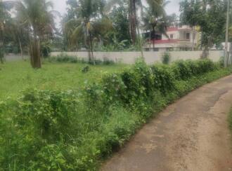 Residential Land for Sale in Alleppey, Mavelikara, Chettikulangara, Erezha North