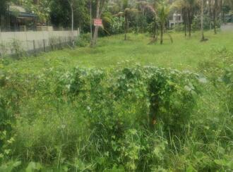 Residential Land for Sale in Alleppey, Mavelikara, Chettikulangara, Erezha North