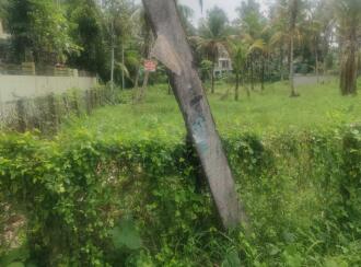 Residential Land for Sale in Alleppey, Mavelikara, Chettikulangara, Erezha North