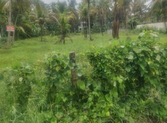 Residential Land for Sale in Alleppey, Mavelikara, Chettikulangara, Erezha North