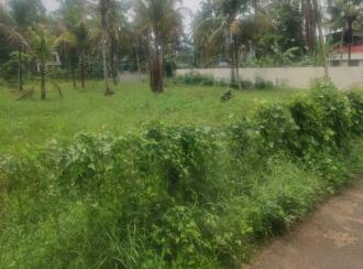 Residential Land for Sale in Alleppey, Mavelikara, Chettikulangara, Erezha North