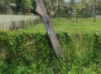 Residential Land for Sale in Alleppey, Mavelikara, Chettikulangara, Erezha North