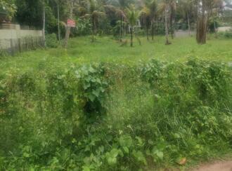 Residential Land for Sale in Alleppey, Mavelikara, Chettikulangara, Erezha North