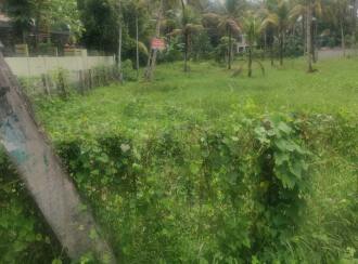 Residential Land for Sale in Alleppey, Mavelikara, Chettikulangara, Erezha North