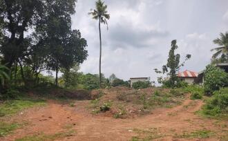 Commercial Land for Sale in Kollam, Kadakkal, Thrikkannapuram, Near Jatayu Tourism, Chadayamangalam.