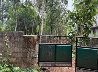 Residential Land for Sale in Trivandrum, Nedumangad, Palode